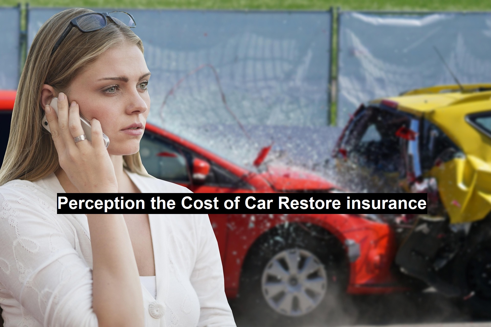 Restore insurance